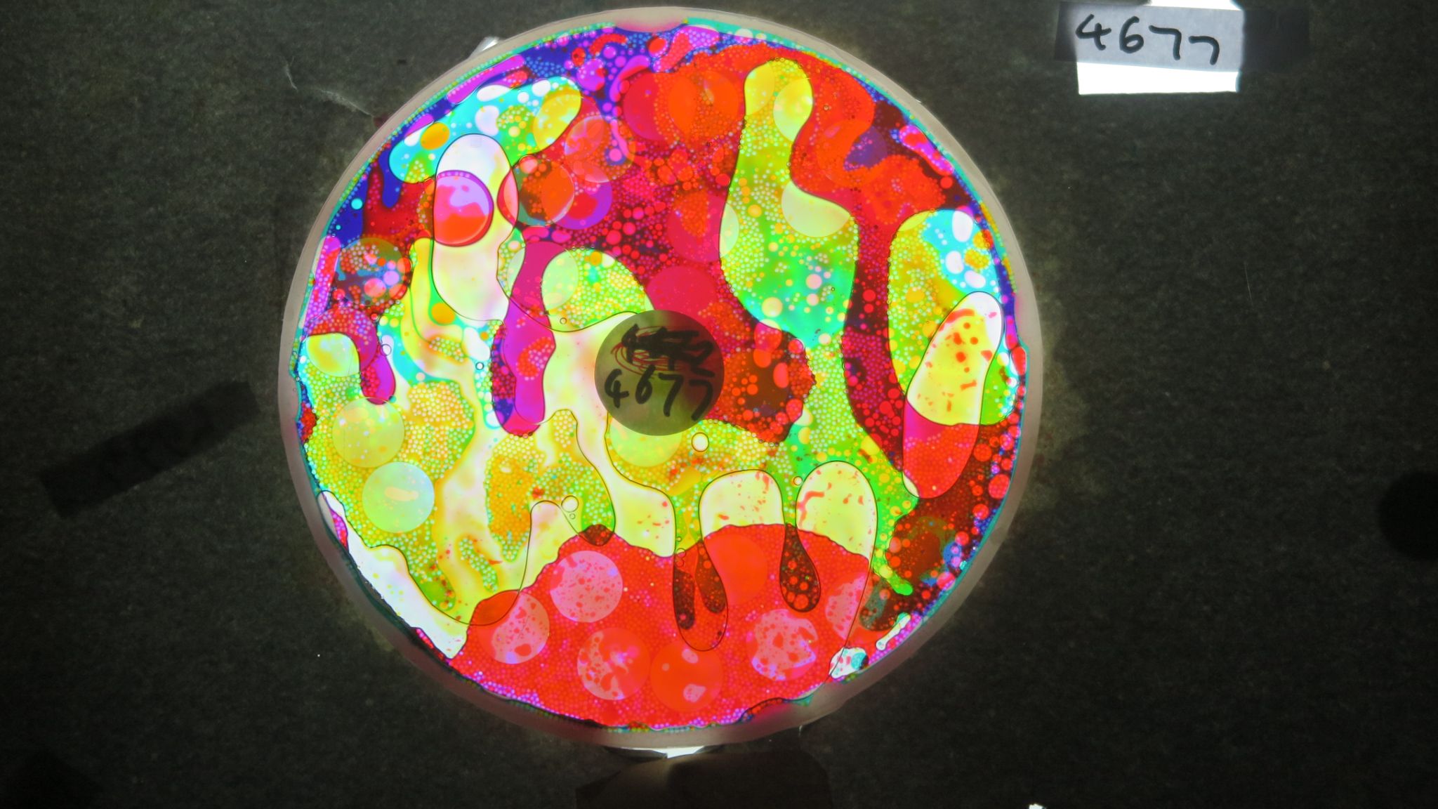 BV4677 bubble vision oil wheel